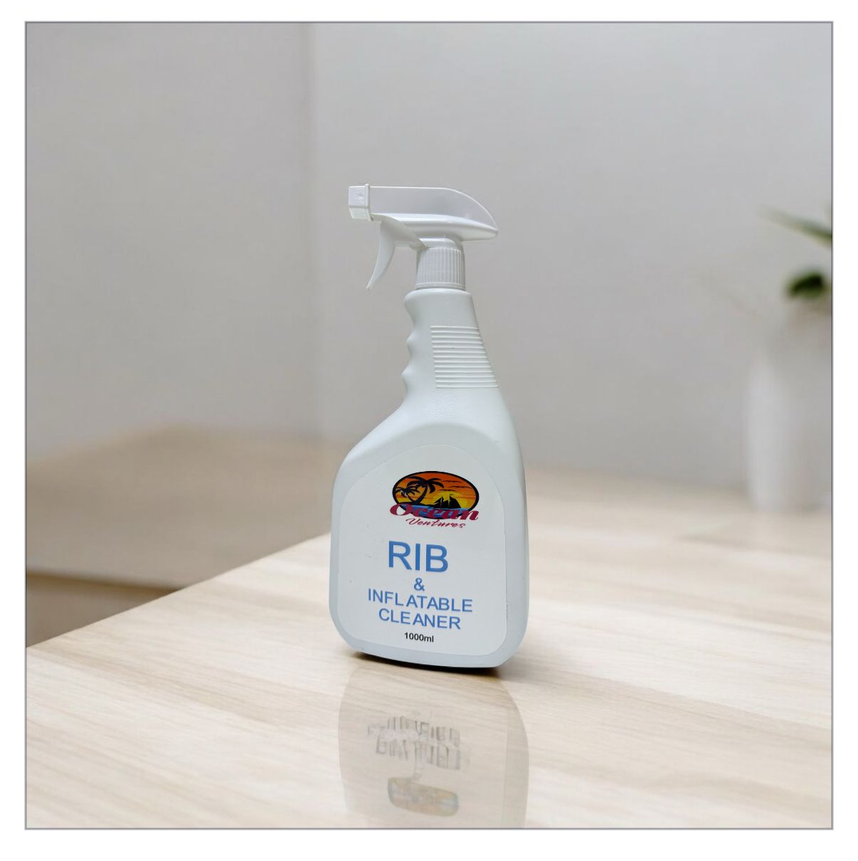 OV-RIB & INFLATABLE CLEANER 1L